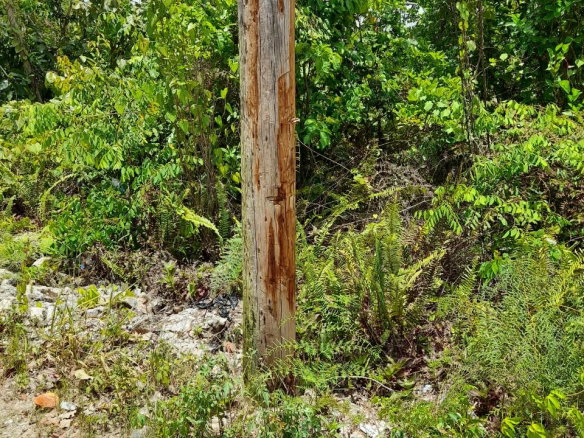 First image of Chantilly Gravel Hill Man in Chantilly, Manchester, Jamaica - property is For Sale