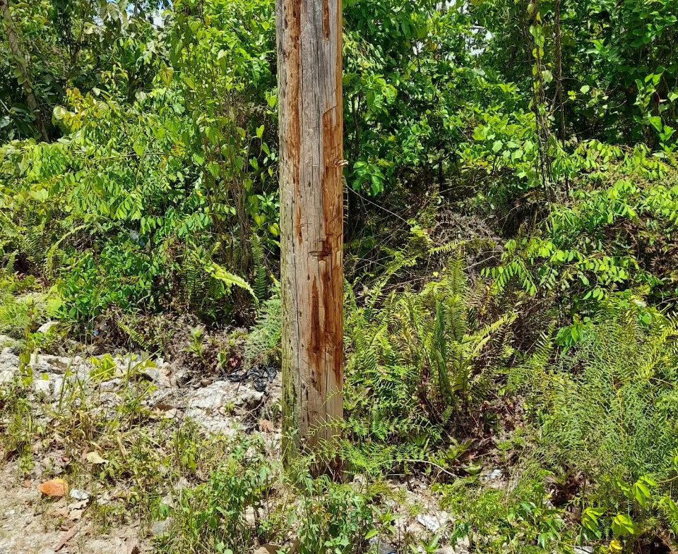 First image of Chantilly Gravel Hill Man in Chantilly, Manchester, Jamaica - property is For Sale