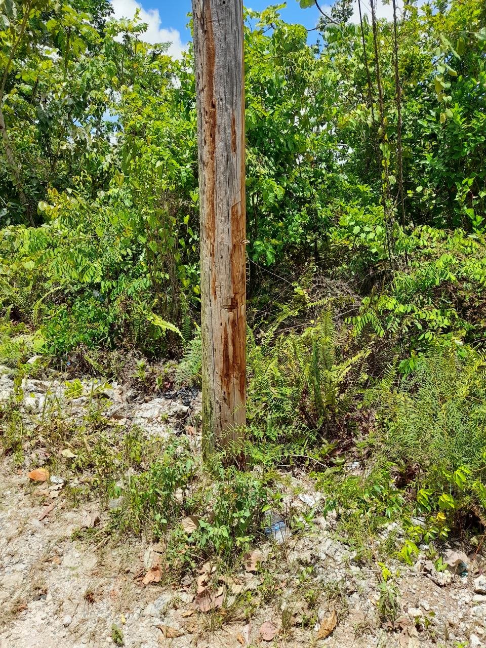 First image of Chantilly Gravel Hill Man in Chantilly, Manchester, Jamaica - property is For Sale