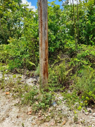 First image of Chantilly Gravel Hill Man in Chantilly, Manchester, Jamaica - property is For Sale