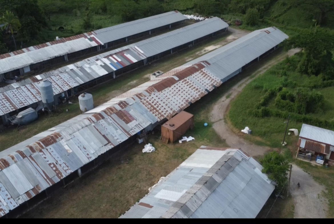 Second image of Colbeck in Colbeck, St. Catherine, Jamaica - property is For Sale