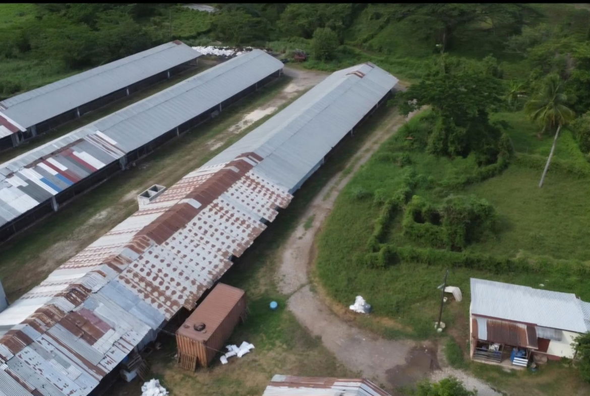 Third image of Colbeck in Colbeck, St. Catherine, Jamaica - property is For Sale