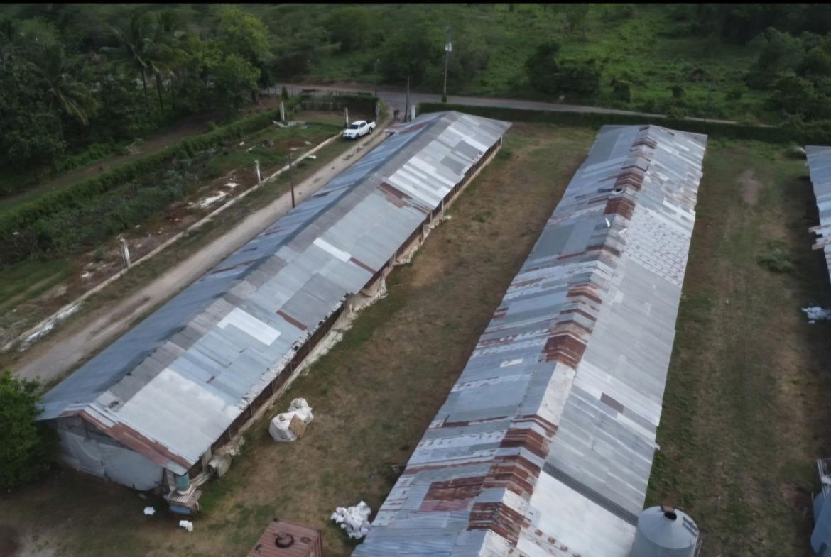 Fourth image of Colbeck in Colbeck, St. Catherine, Jamaica - property is For Sale