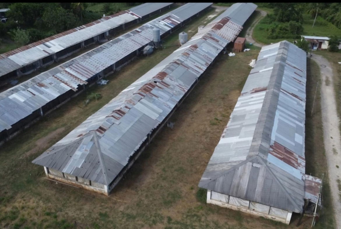 Fifth image of Colbeck in Colbeck, St. Catherine, Jamaica - property is For Sale