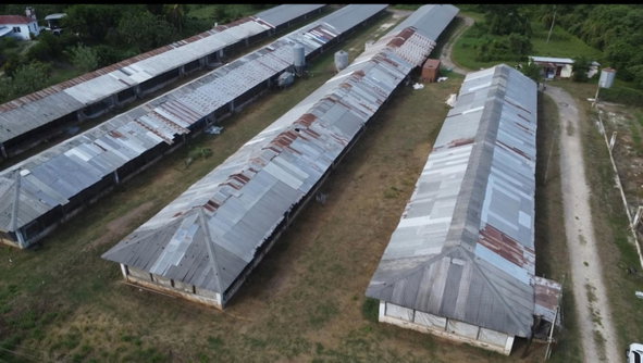 Fifth image of Colbeck in Colbeck, St. Catherine, Jamaica - property is For Sale