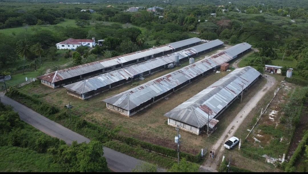 First image of Colbeck in Colbeck, St. Catherine, Jamaica - property is For Sale