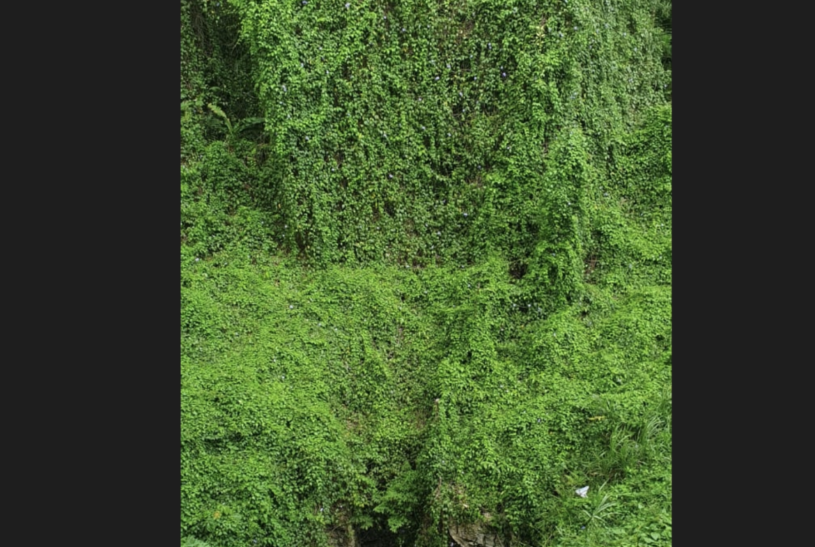 Third image of 27 Santa Maria in Rock Hall, St. Andrew, Jamaica - property is For Sale