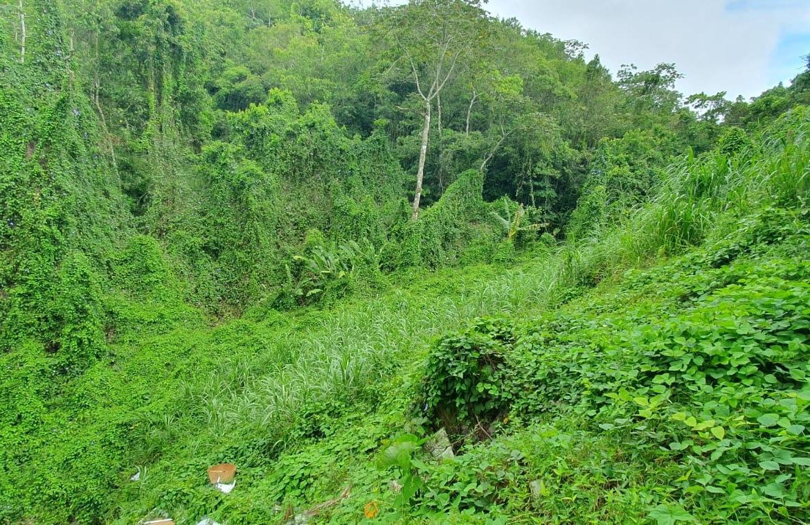 Fifth image of 27 Santa Maria in Rock Hall, St. Andrew, Jamaica - property is For Sale