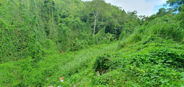 Fifth image of 27 Santa Maria in Rock Hall, St. Andrew, Jamaica - property is For Sale