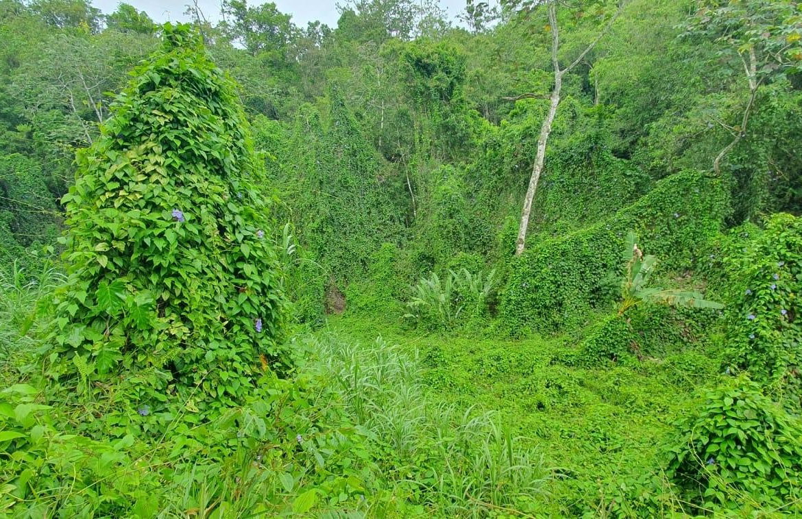Sixth image of 27 Santa Maria in Rock Hall, St. Andrew, Jamaica - property is For Sale