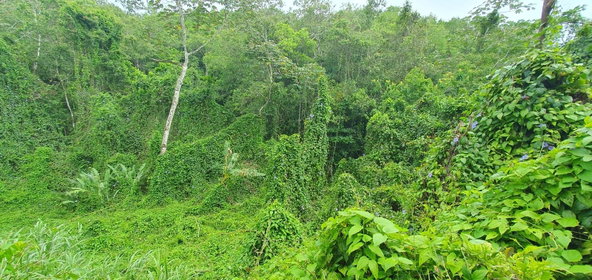 Seventh image of 27 Santa Maria in Rock Hall, St. Andrew, Jamaica - property is For Sale