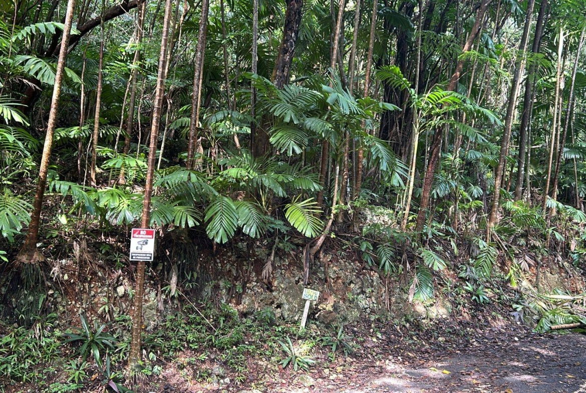 Third image of 141 & 142 San San in SAN SAN, Portland, Jamaica - property is For Sale