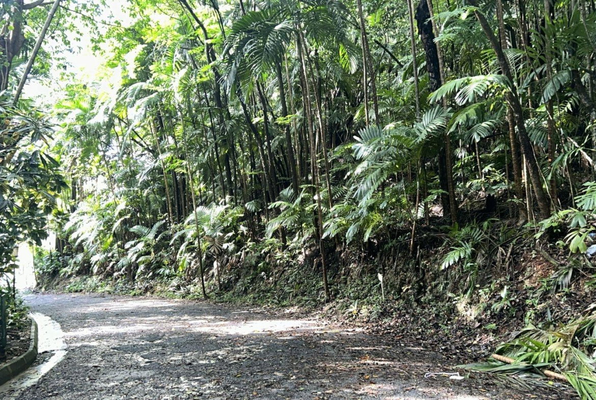 Fifth image of 141 & 142 San San in SAN SAN, Portland, Jamaica - property is For Sale