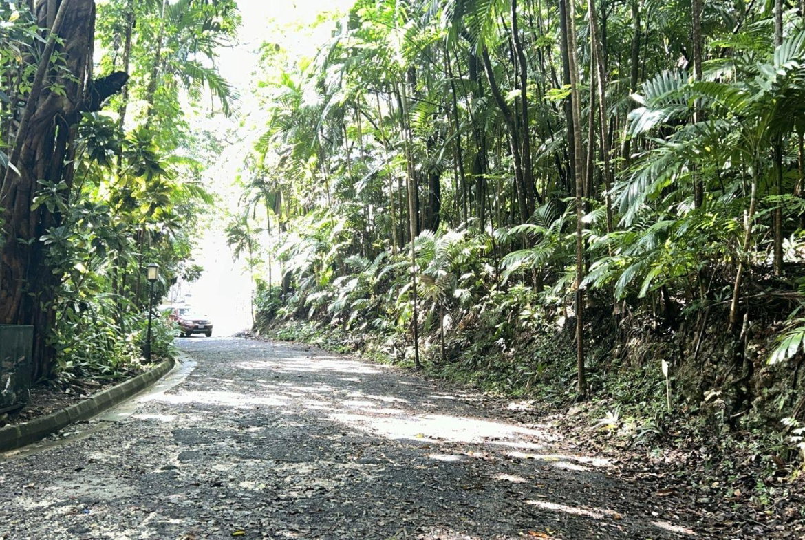 Sixth image of 141 & 142 San San in SAN SAN, Portland, Jamaica - property is For Sale