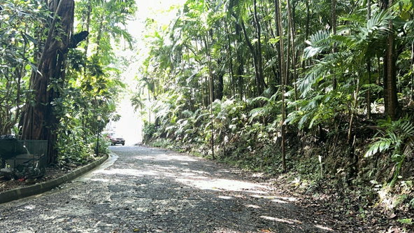 Sixth image of 141 & 142 San San in SAN SAN, Portland, Jamaica - property is For Sale