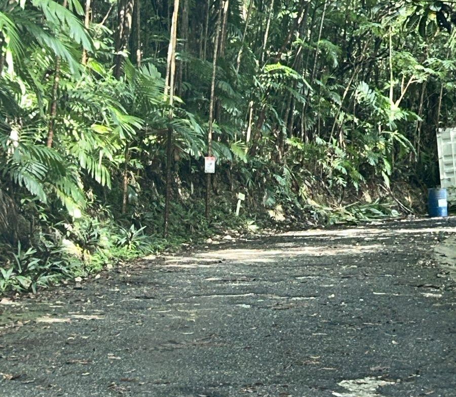 Seventh image of 141 & 142 San San in SAN SAN, Portland, Jamaica - property is For Sale