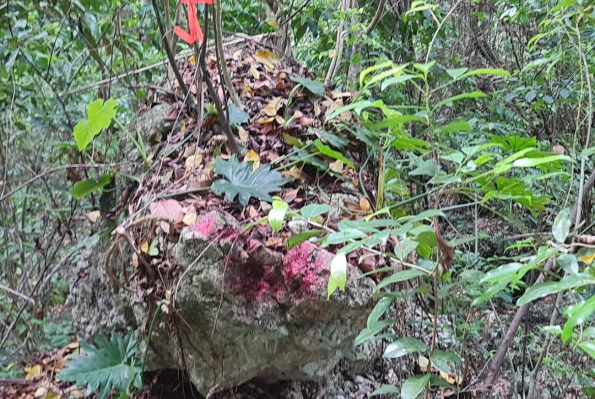 Second image of Cavaliers in Cavaliers, St. Andrew, Jamaica - property is For Sale