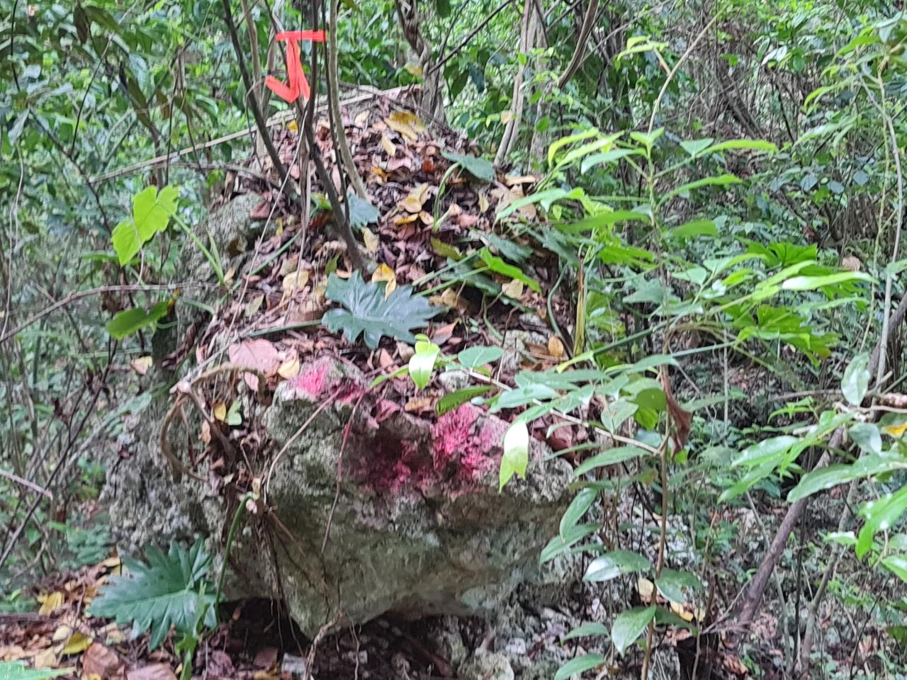 Second image of Cavaliers in Cavaliers, St. Andrew, Jamaica - property is For Sale