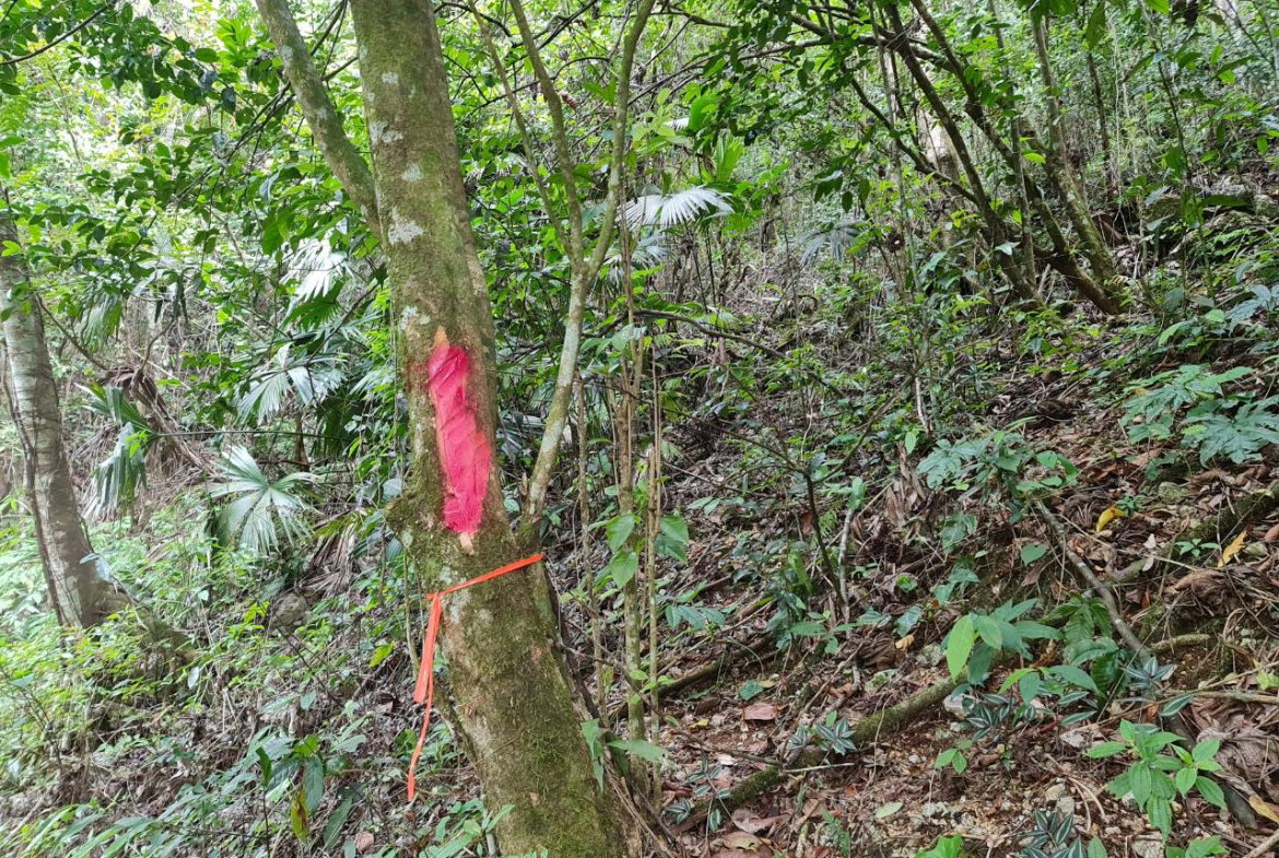 First image of Cavaliers in Cavaliers, St. Andrew, Jamaica - property is For Sale