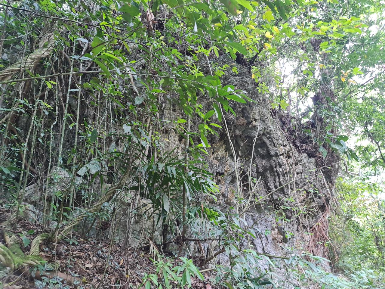 Thirteenth image of Cavaliers in Cavaliers, St. Andrew, Jamaica - property is For Sale