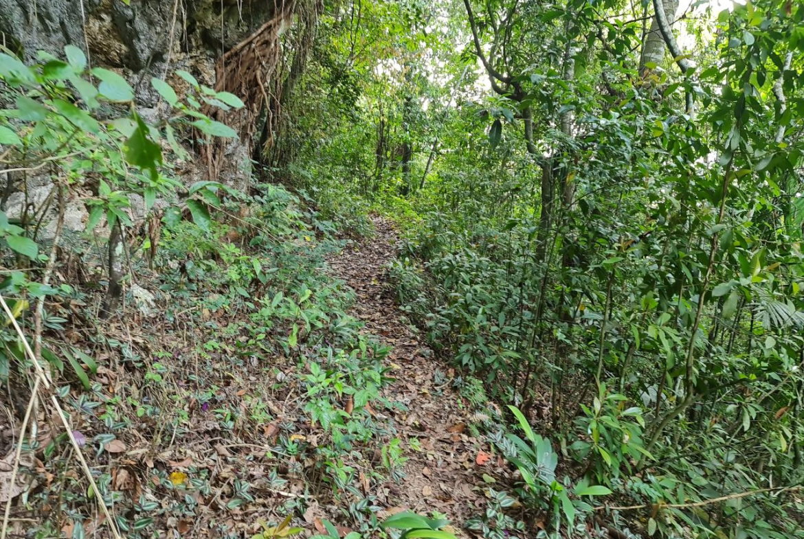 Fourteenth image of Cavaliers in Cavaliers, St. Andrew, Jamaica - property is For Sale