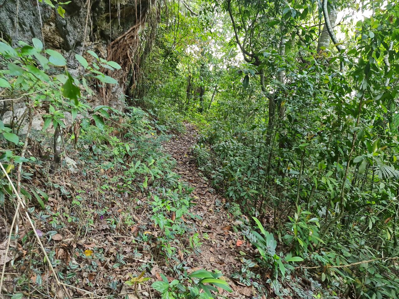 Fourteenth image of Cavaliers in Cavaliers, St. Andrew, Jamaica - property is For Sale