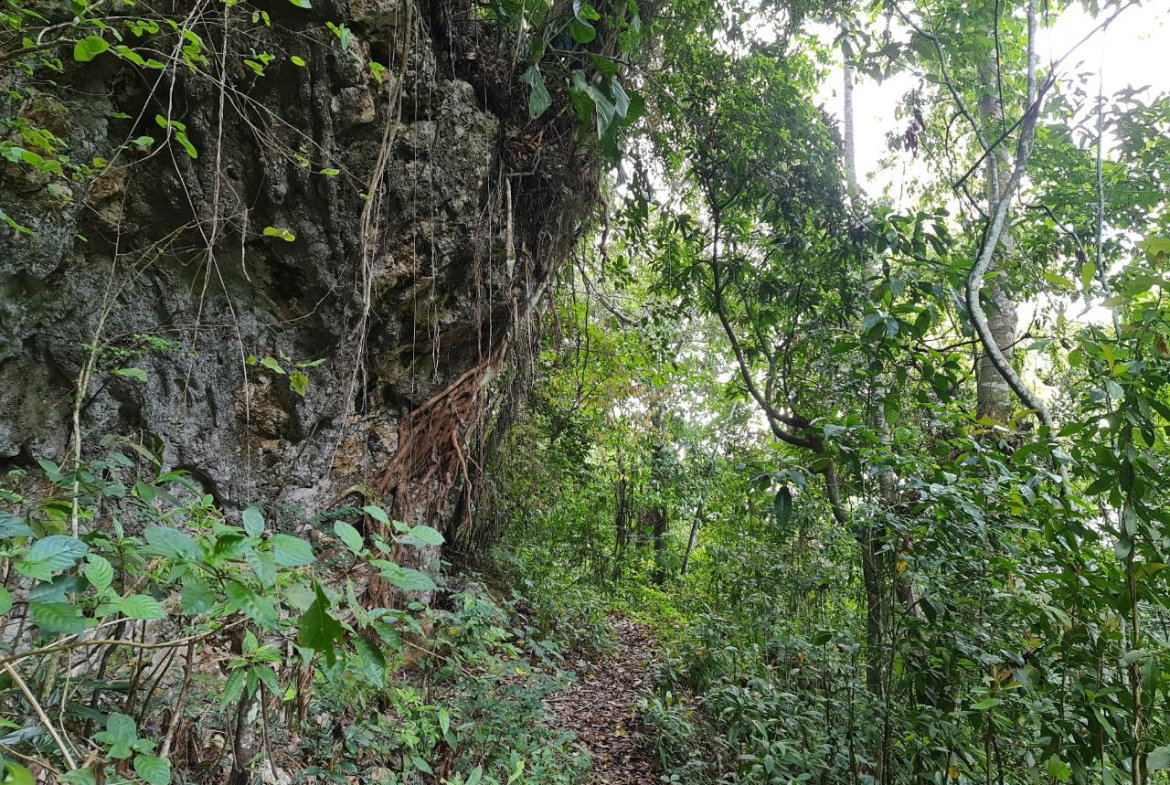 Fifteenth image of Cavaliers in Cavaliers, St. Andrew, Jamaica - property is For Sale