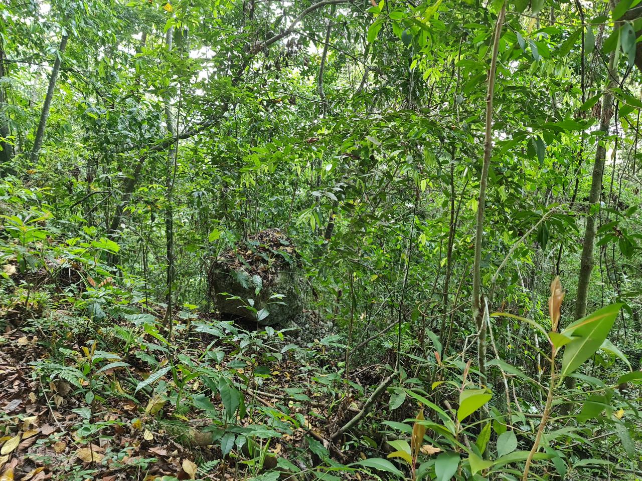 Sixteenth image of Cavaliers in Cavaliers, St. Andrew, Jamaica - property is For Sale