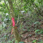 First image of Cavaliers in Cavaliers, St. Andrew, Jamaica - property is For Sale