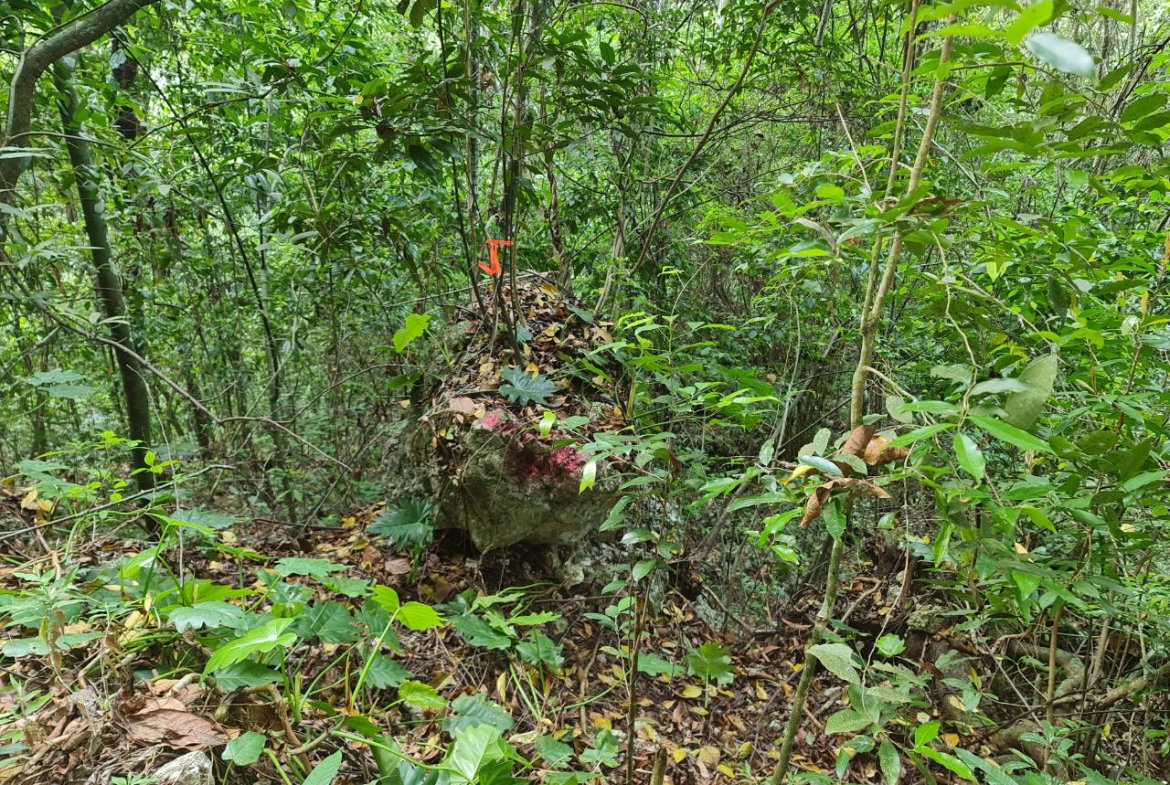 Seventeenth image of Cavaliers in Cavaliers, St. Andrew, Jamaica - property is For Sale