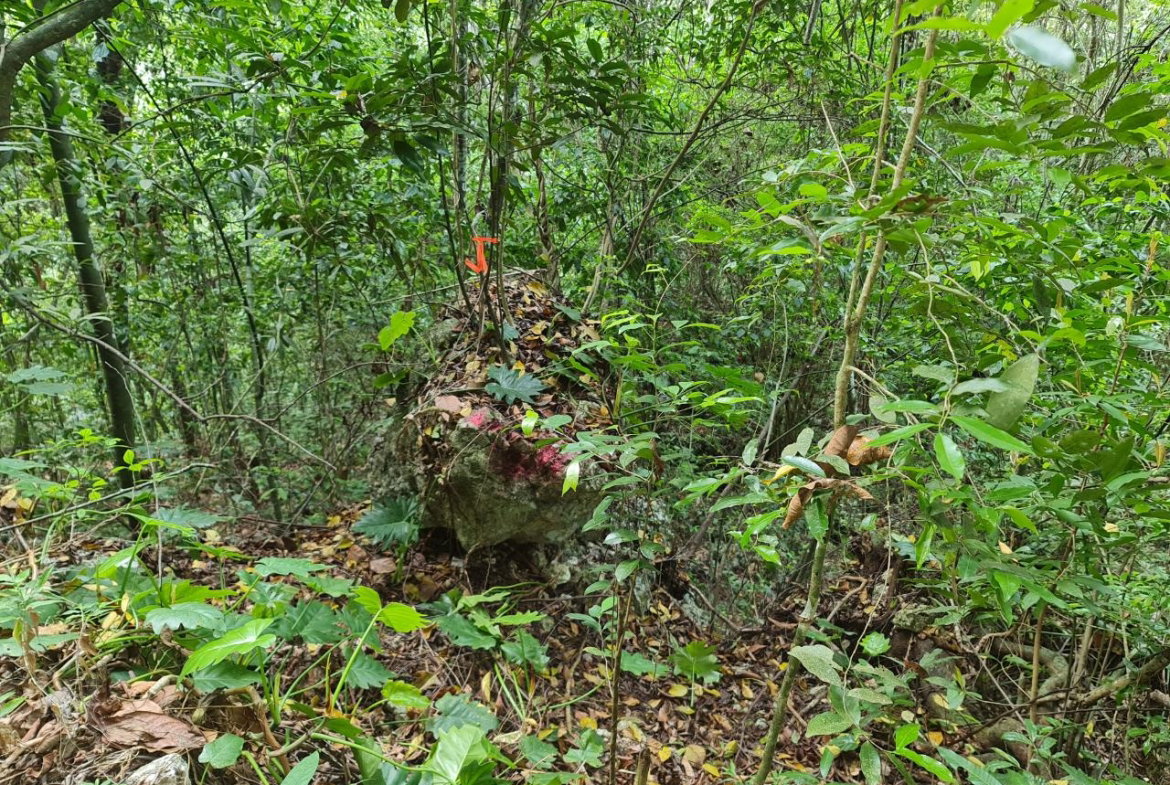 Eighteenth image of Cavaliers in Cavaliers, St. Andrew, Jamaica - property is For Sale