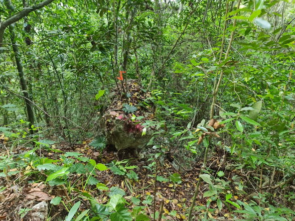 Eighteenth image of Cavaliers in Cavaliers, St. Andrew, Jamaica - property is For Sale