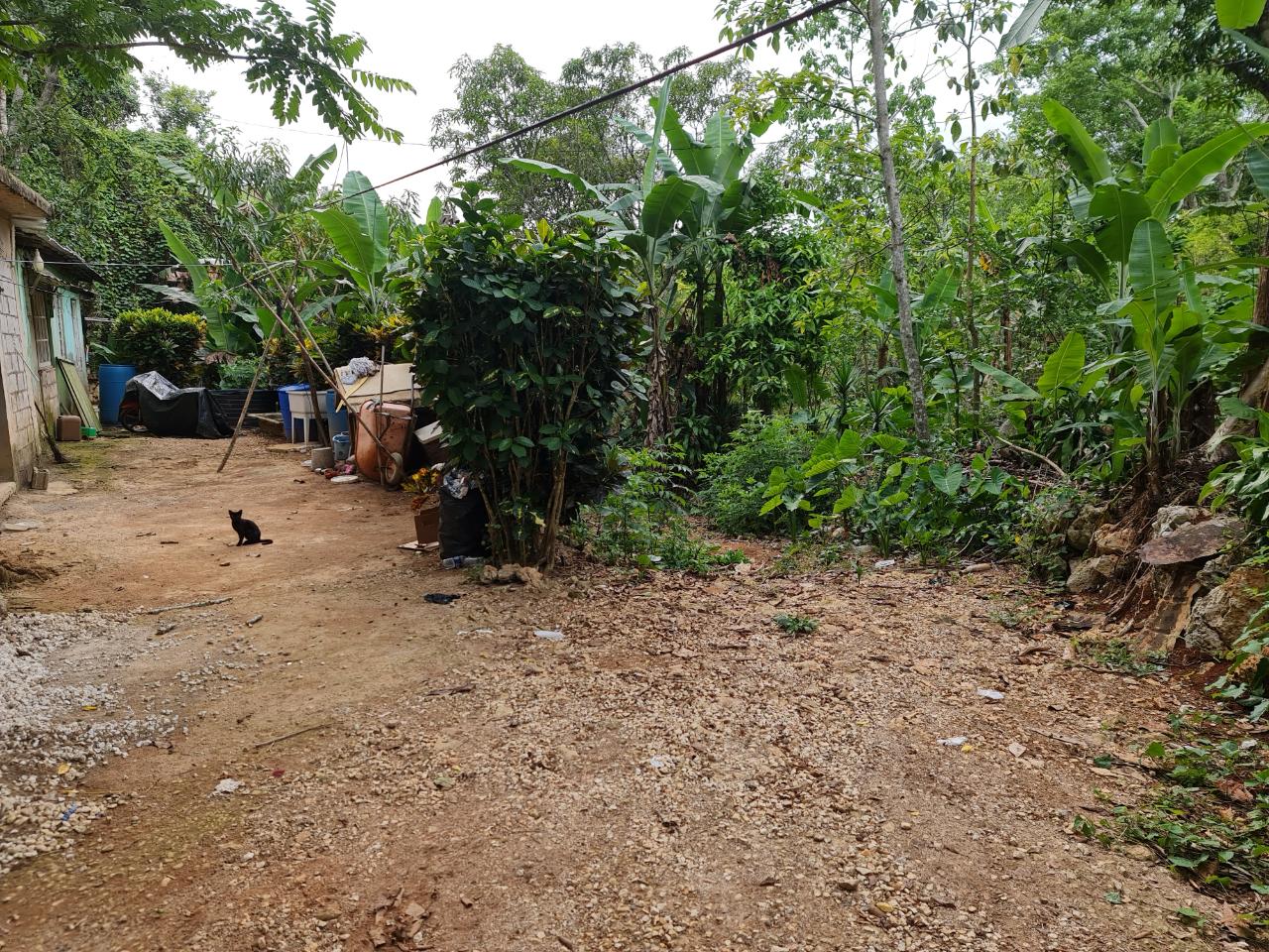 Third image of Cavaliers in Cavaliers, St. Andrew, Jamaica - property is For Sale