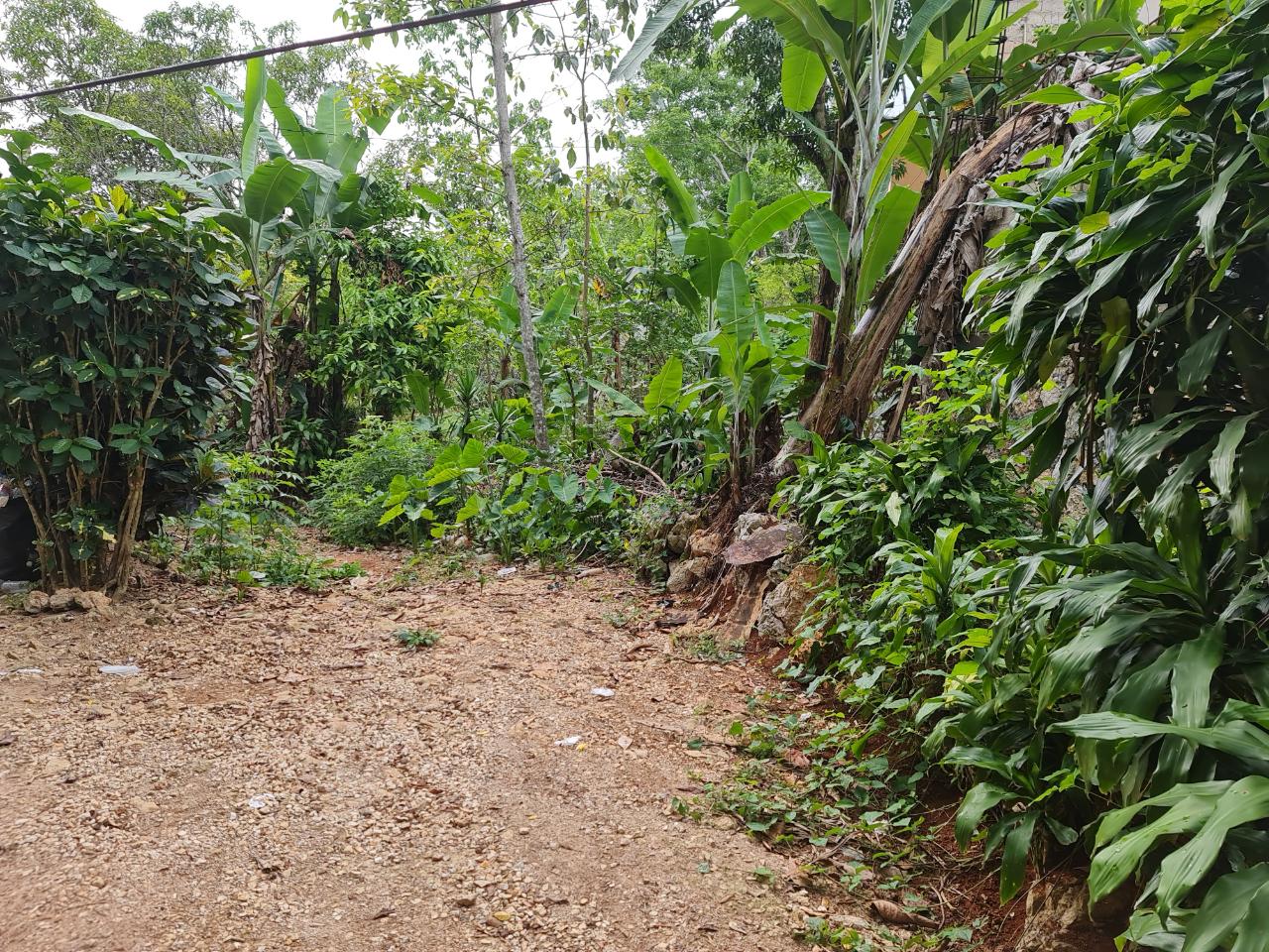 Tenth image of Cavaliers in Cavaliers, St. Andrew, Jamaica - property is For Sale