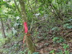 First image of Cavaliers in Cavaliers, St. Andrew, Jamaica - property is For Sale