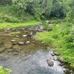 First image of 15 Fort George in Camberwell, St. Mary, Jamaica - property is For Sale