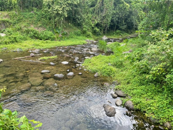 First image of 15 Fort George in Camberwell, St. Mary, Jamaica - property is For Sale