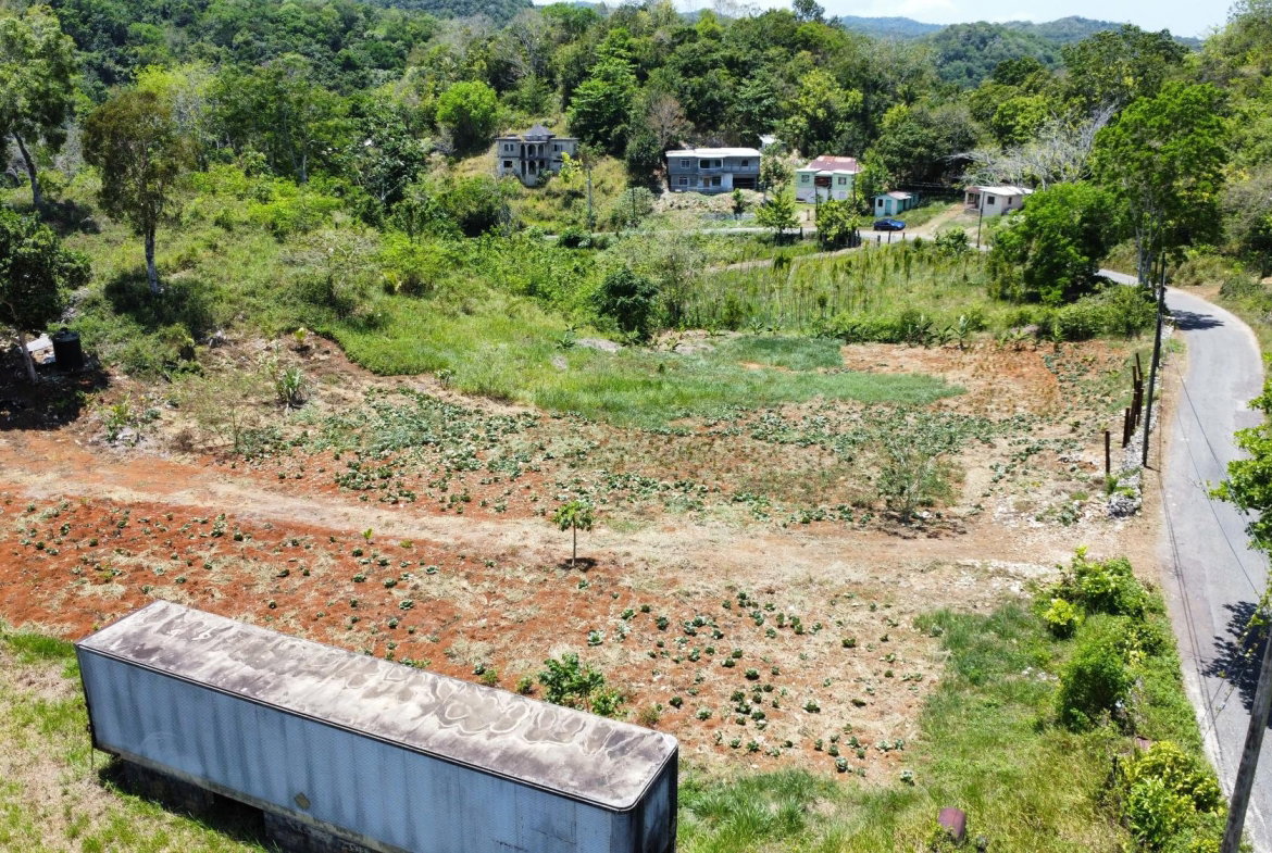 Eleventh image of Rosebank, Brown's Town in Browns Town, St. Ann, Jamaica - property is For Sale
