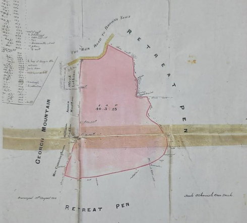 Twelfth image of Rosebank, Brown's Town in Browns Town, St. Ann, Jamaica - property is For Sale