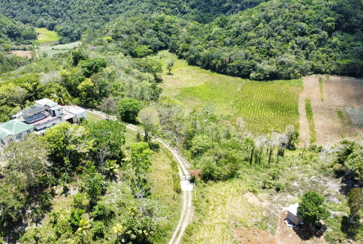 Seventh image of Rosebank, Brown's Town in Browns Town, St. Ann, Jamaica - property is For Sale