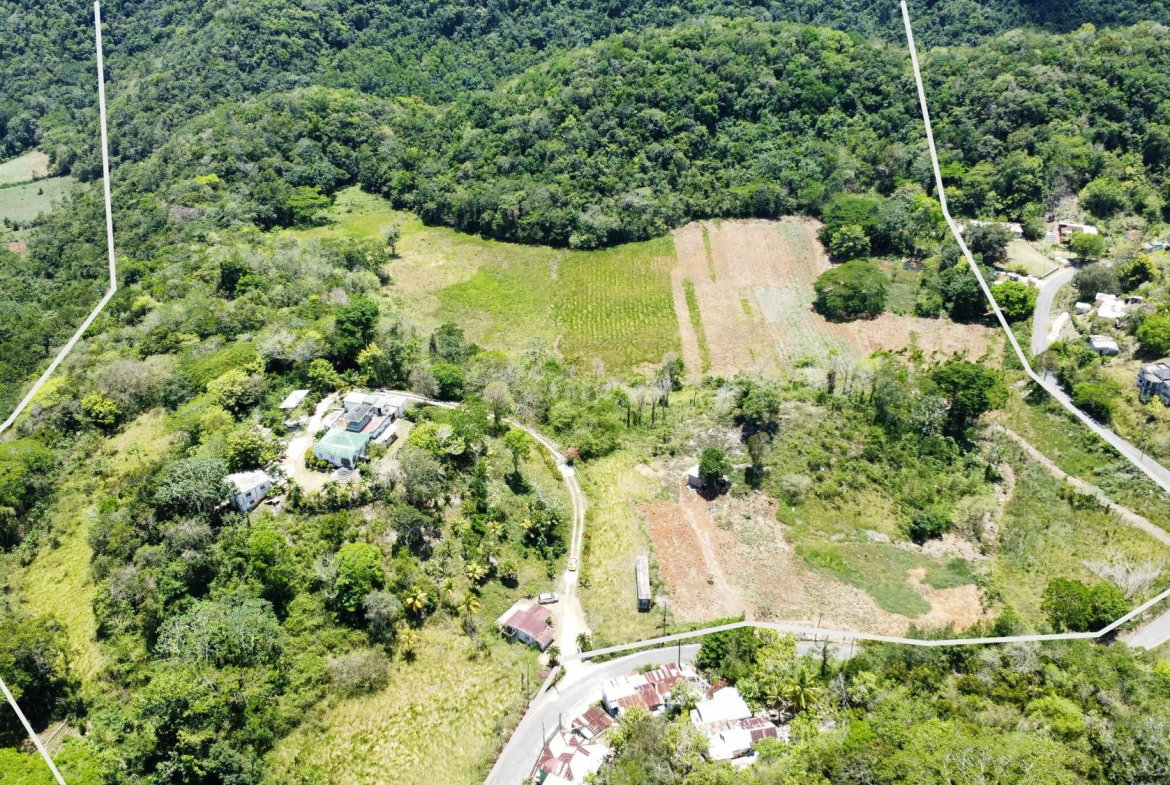 Eighth image of Rosebank, Brown's Town in Browns Town, St. Ann, Jamaica - property is For Sale