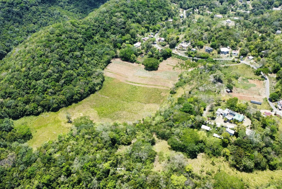 Ninth image of Rosebank, Brown's Town in Browns Town, St. Ann, Jamaica - property is For Sale
