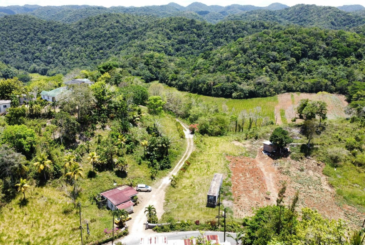Tenth image of Rosebank, Brown's Town in Browns Town, St. Ann, Jamaica - property is For Sale