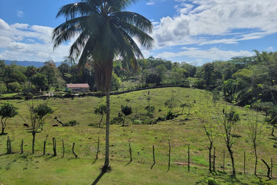 Second image of Bethel Town, Westmoreland in Barneyside, Westmoreland, Jamaica - property is For Sale