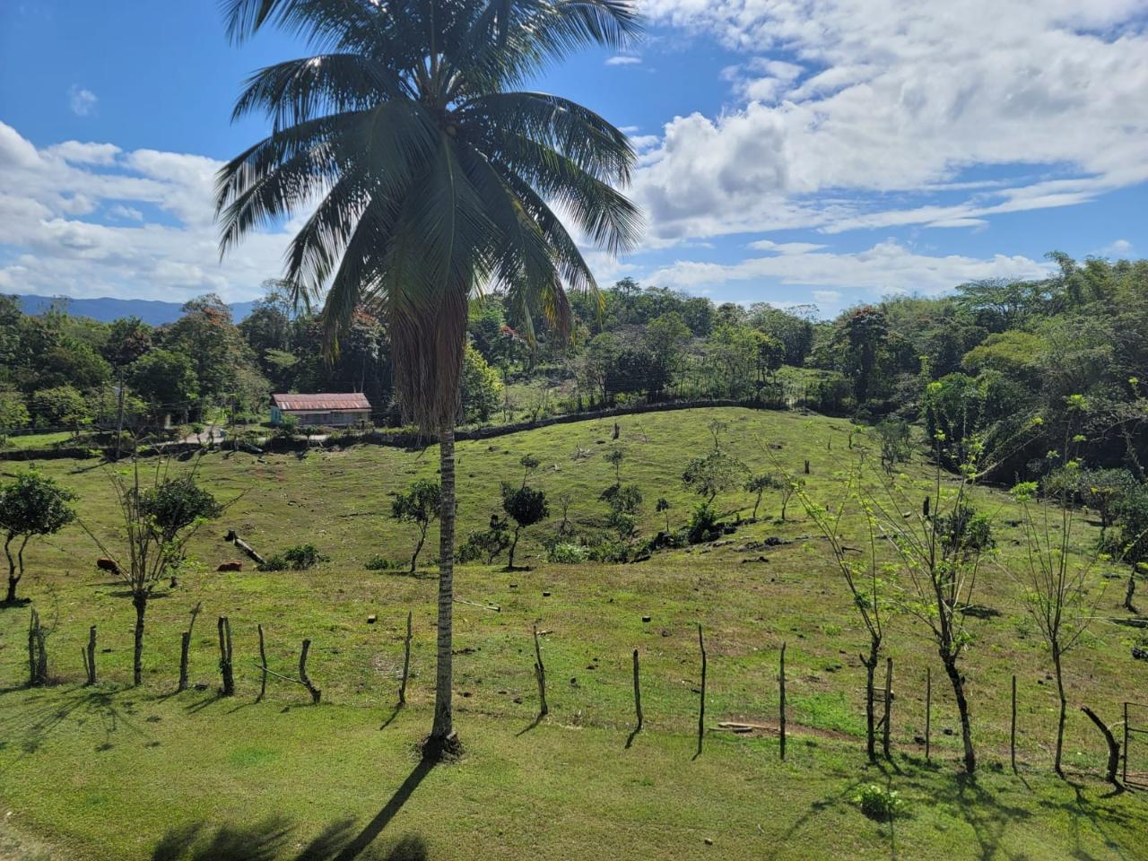 Second image of Bethel Town, Westmoreland in Barneyside, Westmoreland, Jamaica - property is For Sale