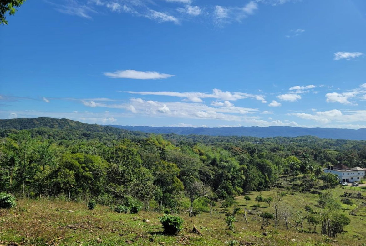 First image of Bethel Town, Westmoreland in Barneyside, Westmoreland, Jamaica - property is For Sale