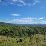First image of Bethel Town, Westmoreland in Barneyside, Westmoreland, Jamaica - property is For Sale