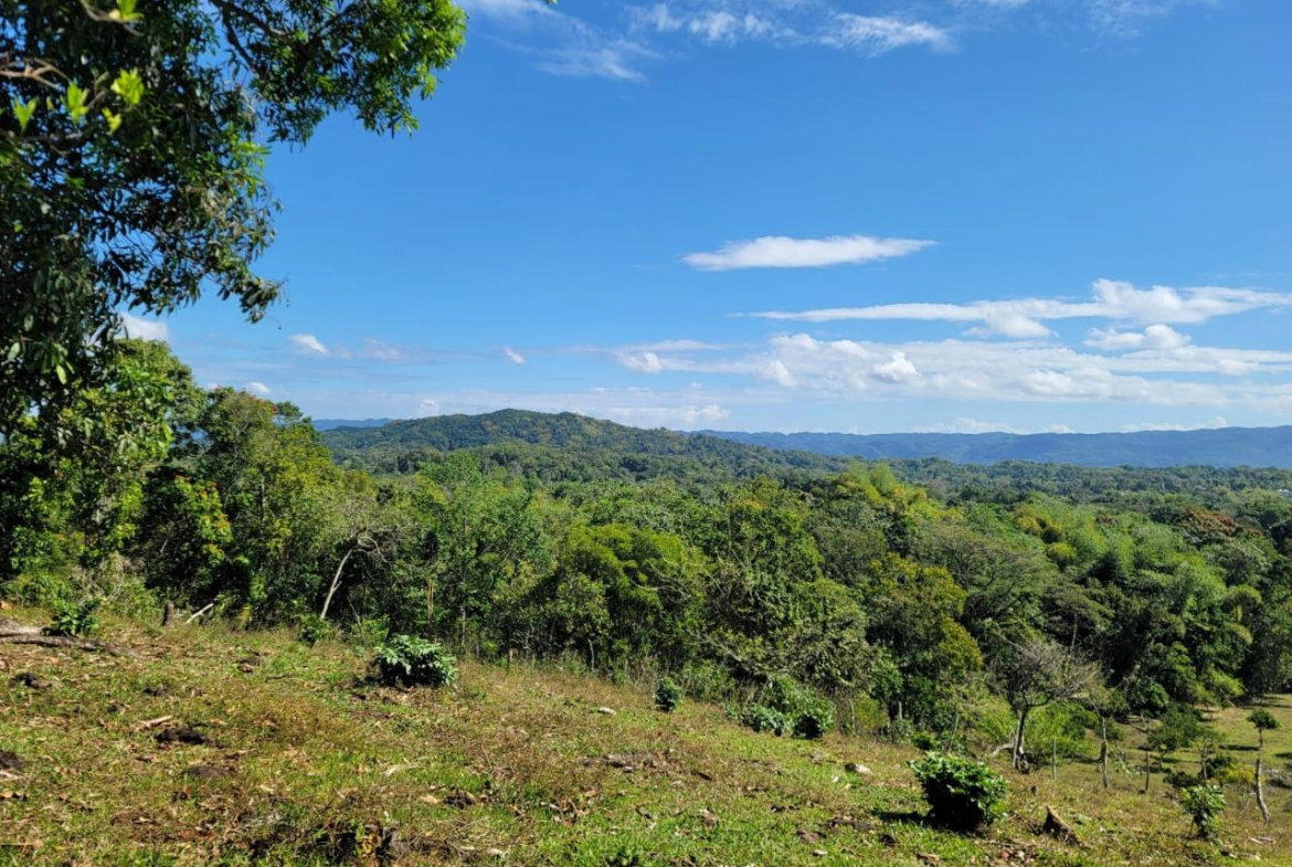 Third image of Bethel Town, Westmoreland in Barneyside, Westmoreland, Jamaica - property is For Sale
