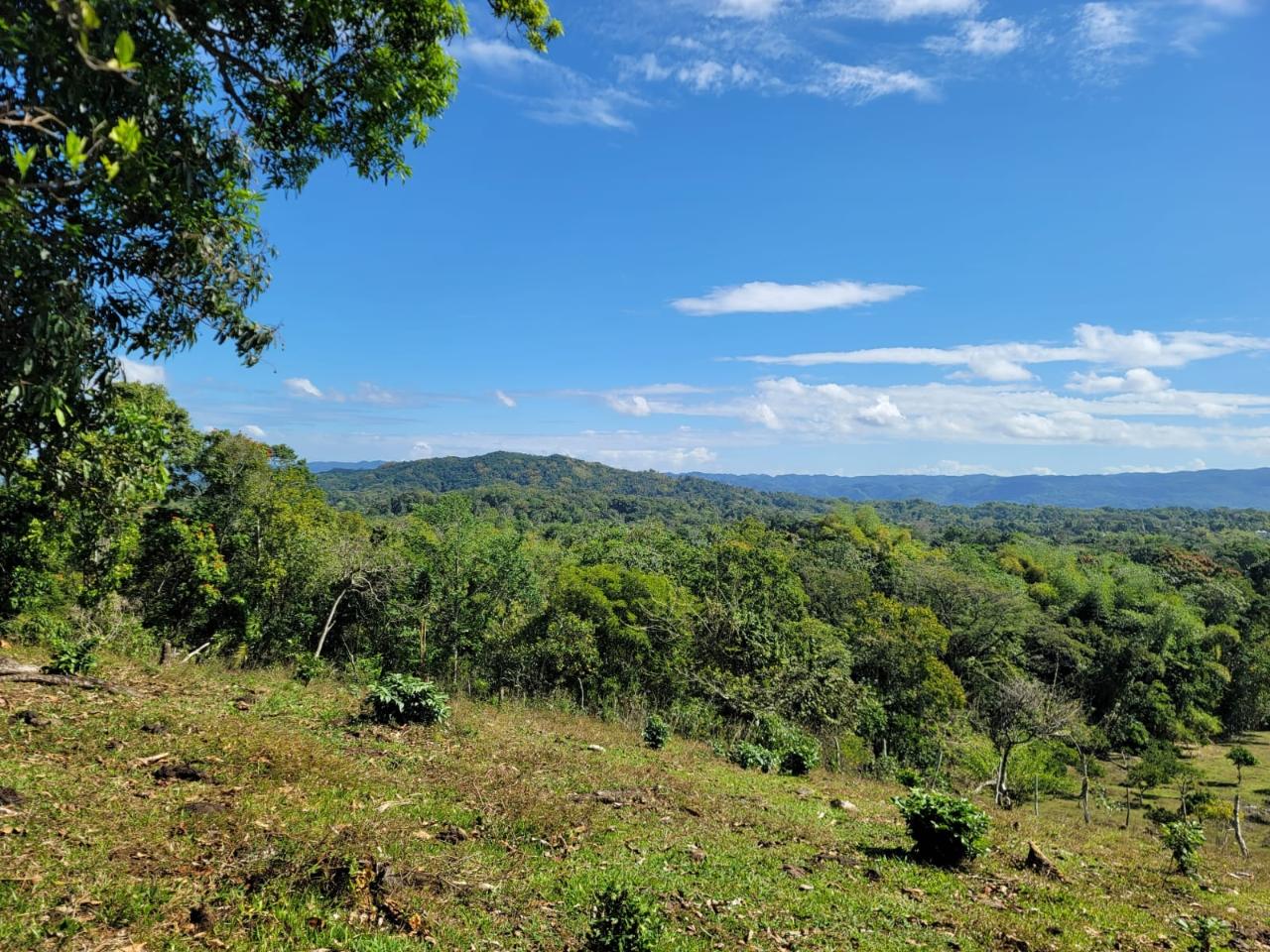 Third image of Bethel Town, Westmoreland in Barneyside, Westmoreland, Jamaica - property is For Sale