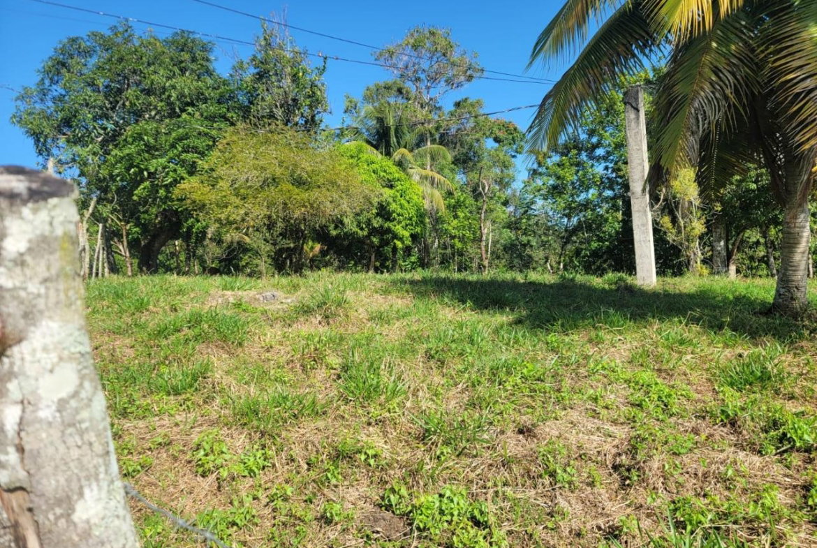 Fourth image of Bethel Town, Westmoreland in Barneyside, Westmoreland, Jamaica - property is For Sale